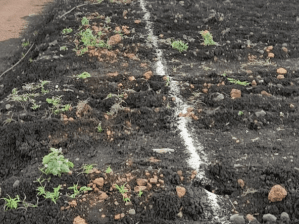 Open Plots in Kamkole, Hyderabad